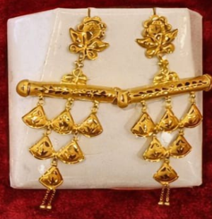 Discover the Beauty of Elegant Earrings